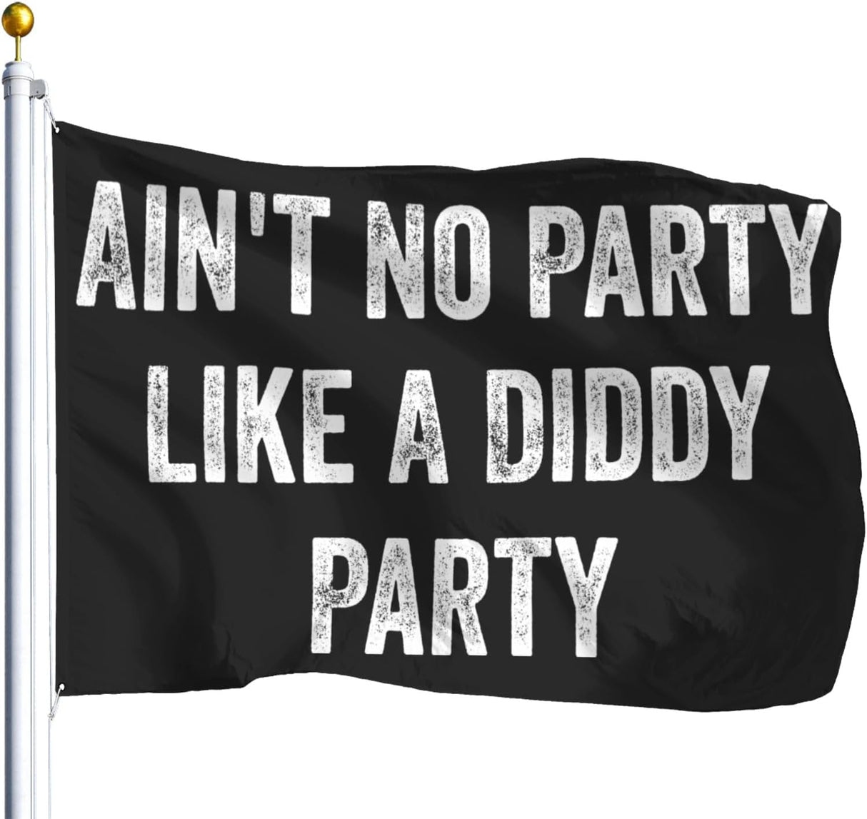 Ain't No Partys Like A Diddys Partys Funny Flags for Room Guys Flags for Room Guys Unique Tapestry for Office Outdoor