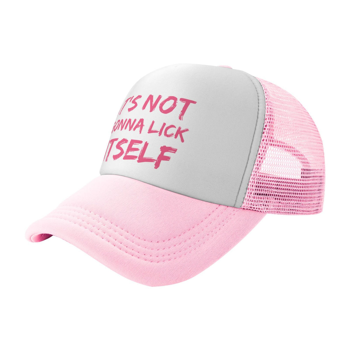 IT'S NOT GONNA LICK ITSELF Hat