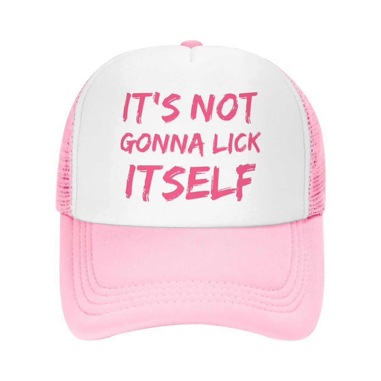 IT'S NOT GONNA LICK ITSELF Hat