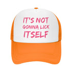 IT'S NOT GONNA LICK ITSELF Hat